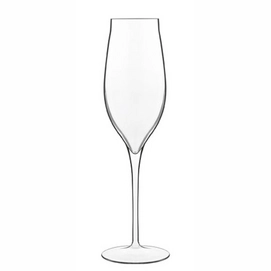Champagne Glass Luigi Bormioli Vinea 200 ml (6 pc)