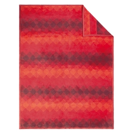 Couverture Jacquard Ibena Solare Moulin Rouge