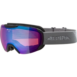Skibrille Alpina Pheos Q Schwarz Grau