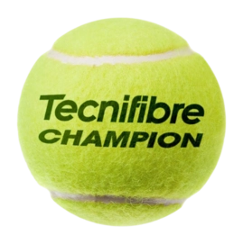 balleTF_champion-_no-bg