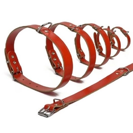 Halsband Beeztees Rood Leer