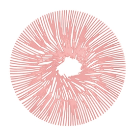 Kom Koziol Anemone Powder Pink
