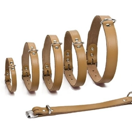 Halsband Beeztees Naturel Leer
