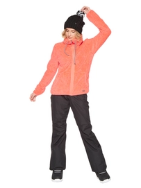 3610792_734_model_front-full_02