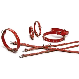Halsband Beeztees Rood Siernieten