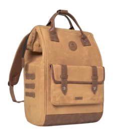 Bruin 3-_no-bg