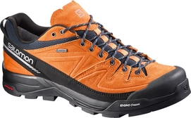 Wandelschoen Salomon X Alp Leather GTX Men Clementine X