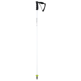 Bâton de Ski HEAD Worldcup Rebels Carbon White / Black-105 cm