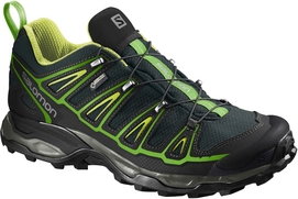 Wandelschoen Salomon X Ultra 2 GTX Green Black Gecko Green
