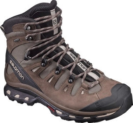 Wandelschoen Salomon Quest 4D 2 GTX Men Fossil Rain