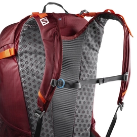 Rugzak Salomon Evasion 25 Sun-Dry-Tomato