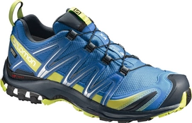 Trailrunningschuh Salomon XA Pro 3D GTX Cloisonné Navy Herren