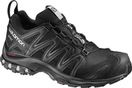 Trail Running Shoes Salomon XA Pro 3D GTX Women Black Mineral Grey
