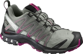 Trail Running Shoes Salomon XA Pro 3D GTX Women Shadow
