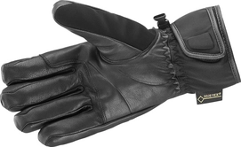 Handschoenen Salomon Vision GTX Men Black
