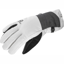 Handschoenen Salomon Icon GTX Women Vaporous Gray