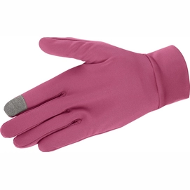 Handschoenen Salomon Agile Warm Glove Unisex Beet Red