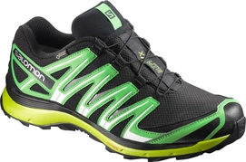 Trailrunningschuh Salomon XA Lite GTX Black Classic Green Herren