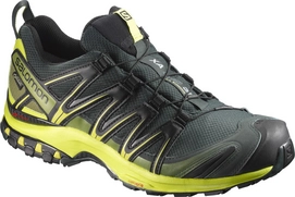 Trailrunningschuh Salomon XA Pro 3D GTX Darkest Spruce Herren
