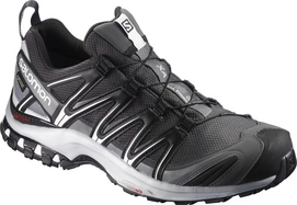 Trailrunningschuh Salomon XA Pro 3D GTX Magnet Black Herren