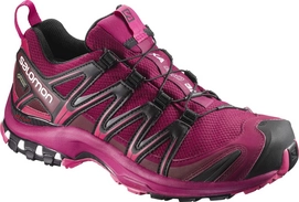 Trail Running Shoes Salomon XA Pro 3D GTX Women Beet Red