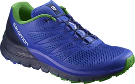 Trail Running Shoes Salomon Sense Pro Max Men Surf The Web