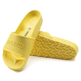 4---1019172_sole