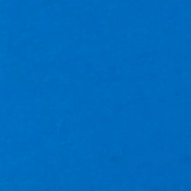 4---1828131_448_sw[1]