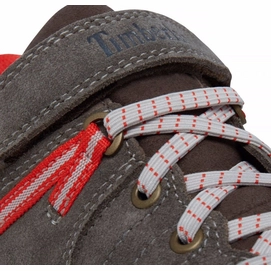 Timberland Youth Griffin Park Low GTX Canteen
