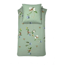 4---C-Di Padova green single size topshot DE