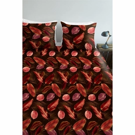 4---Cordyline_Red_NL_UV_200x200-220_60