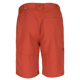 Korte Broek Regatta Mens Leesville Short Burnt Tikka