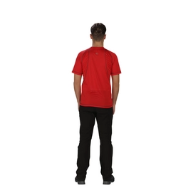T-Shirt Regatta Mens Volito II Pepper
