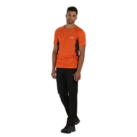 T-Shirt Regatta Mens Virda Magma/Seal Grey