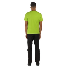 T-Shirt Regatta Mens Fingal II Lime Zest Green