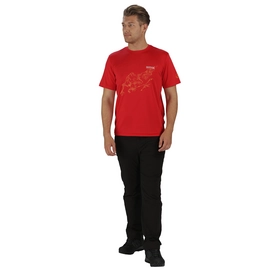 T-Shirt Regatta Mens Fingal II Pepper