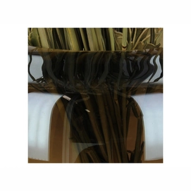 4---XET-5779-3