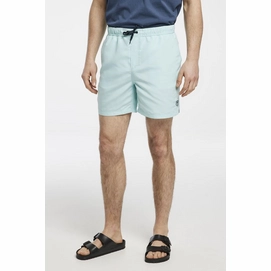 4---essential-swim-shorts-m_5017039_513_3