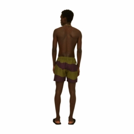 4---851_7fe9cad15c-dusky-dune-swim-shorts_5001-284_f-original-_no-bg