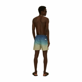 4---860_e42f5ebe47-polar-sky-swim-shorts_5001-293_f-original-_no-bg