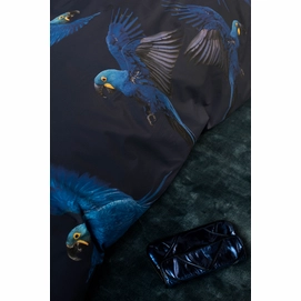 4---Blue_Parrot_2persoons_rgb-4056