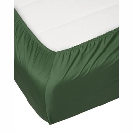 4---satin_fitted_sheet_moss_405001_103_163_lr_s4_p