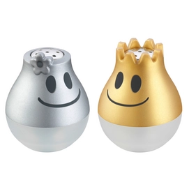 Peper- En Zoutmolen WMF Mcsalt Set