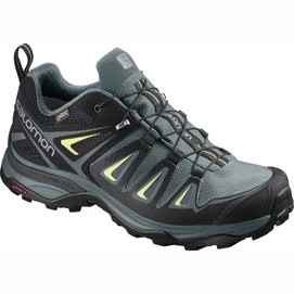 Wandelschoen Salomon X Ultra 3 GTX Women Artic