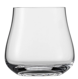 Whiskyglas Schott Zwiesel Life 525 ml (2-teilig)