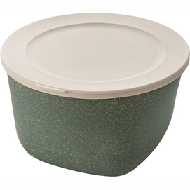Frischhaltebox Koziol Bio-Circulair Connect Box Nature Ash Grey 1L
