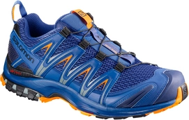 Trailrunningschuh Salomon XA Pro 3D Surf The Web Herren