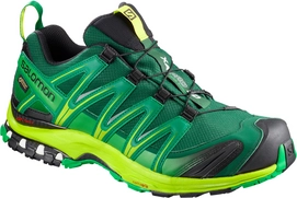 Chaussures de Trail Salomon Men XA Pro 3D GTX Rainforest