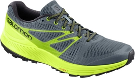 Chaussure de Trail Salomon Men Sense Escape Stormy Weather