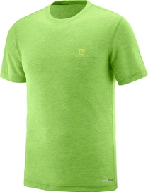 Tshirt Salomon Men Explore SS Greenery